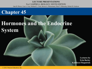 hormones - HCC Learning Web