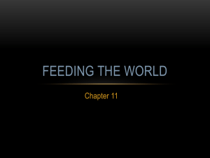 Chapter 11: Feeding the World