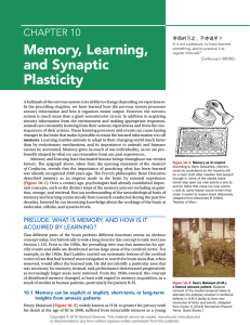 Memory, Learning, and Synaptic Plasticity