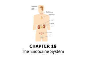 Intro to Endocrine - Valdosta State University