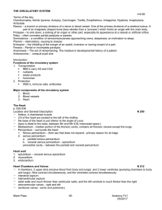 THE CIRCULATORY SYSTEM
