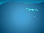 AP Thermo I Notes