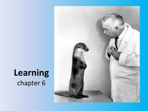 Learning chapter 6