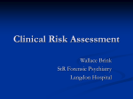 Clinical Risk Assessment - Dr Brink