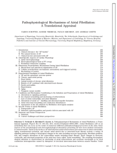 Pathophysiological Mechanisms of Atrial Fibrillation: A Translational