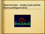 cardiac cycle, ECG presentation