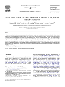 Novel visual stimuli activate a population of neurons