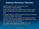 Sellin`s Culture Conflict Theory