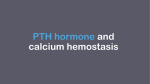 PTH hormones and calcium hemostasis