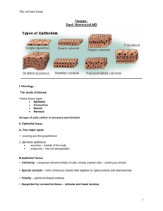 Tissues - Sinoe Medical Association