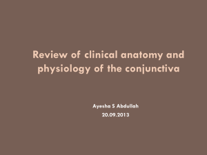 Review of clinical anatomy and physiology of the conjunctiva