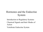 45-Hormones and the Endocrine System