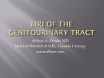 8 Ornan MRI of the genitourinary tract VU CME