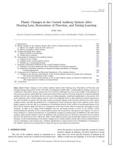 Plastic Changes in the Central Auditory System After Hearing Loss