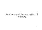 Loudness and the perception of intensity