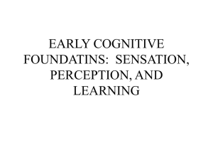 early cognitive foundatins: sensation, perception, and learning