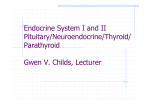 Endocrine System I Neuroendocrine, Pituitary, Thyroid, Parathyroid
