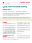 Cardiac computed tomography core syllabus of the European