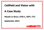 Cellfield and Vision - Case Study