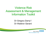 Violence Risk Assessment Management Tool Kit