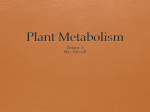 Plant Metabolism