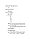 MCB Lecture 2 – Protein Metabolism