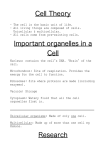 Important organells in a Cell 2