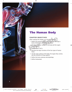 The Human Body - Cengage Learning
