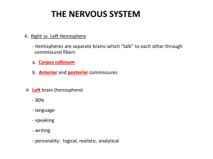 the nervous system - Elgin Local Schools