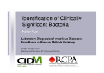 Identification of Clinically Significant Bacteria