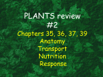 Plants Ch 35,36,36,39 review