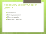 Chapter 1 Lesson 4 Vocabulary Power Point