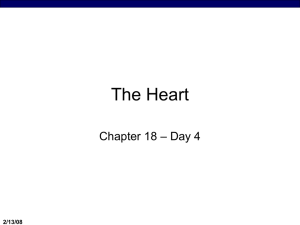 The Heart, Day 4 (Professor Powerpoint)