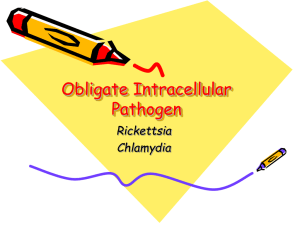 Rickettsia, Chlamydia, Mycoplasma, Legionella, and Gardnerella