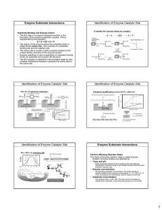 Enzyme Substrate Interactions Identification of Enzyme Catalytic Site