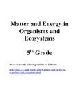 Matter and Energy in Organisms and Ecosystems