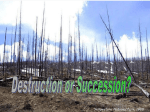 1f Unit 10 Ecological Succession