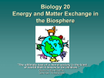 Biology 20 Energy and Matter Exchange in the Biosphere