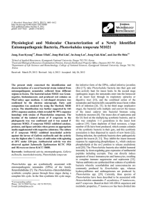 Physiological and Molecular Characterization of a Newly Identified