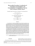Horseradish Peroxidase Localization of Sympathetic Postganglionic