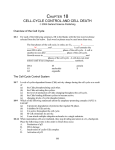 Chapter 3: Energy, Catalysis, and Biosynthesis