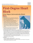 First-Degree Heart Block