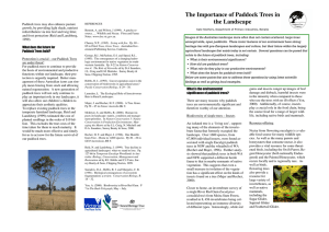The Importance of Paddock Trees in the Landscape