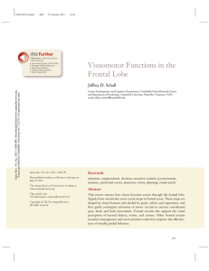 Visuomotor Functions in the Frontal Lobe