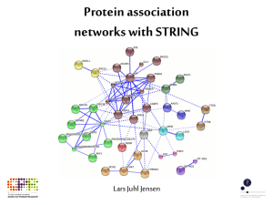 Eukaryotic Protein Networks