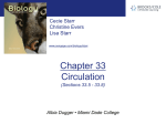 chapter33_Sections 5