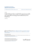 LKB1 Deficient Non-small Cell Lung Cancer Cells are Vulnerable to