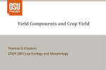 Yield Components - Crop and Soil Science