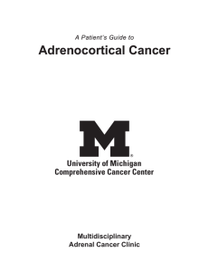 A Patient`s Guide to Adrenocortical Cancer