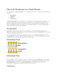 The Cell Membrane is a Fluid Mosaic